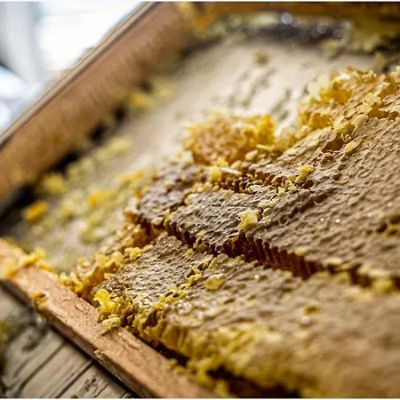 Cala Di Sole 3* Ajaccio (Corsica)