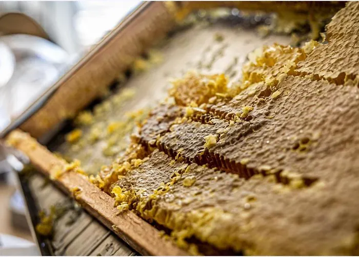 Cala Di Sole 3* Ajaccio (Corsica)